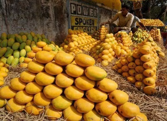 Health: మామిడి పండ్లు తింటే ఇన్ని ప్రయోజనాలా? Health: మామిడి పండ్లు తింటే ఇన్ని ప్రయోజనాలా?