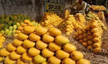 Health: మామిడి పండ్లు తింటే ఇన్ని  ప్రయోజనాలా?