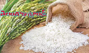 మార్కెట్లోకి తెలంగాణ బ్రాండ్ బియ్యం మార్కెట్లోకి తెలంగాణ బ్రాండ్ బియ్యం