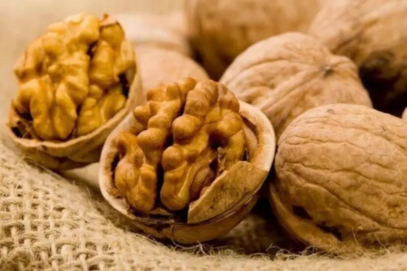 Health: వాల్నట్స్ తింటే ఇన్ని ప్రయోజనాలా? Health: వాల్నట్స్ తింటే ఇన్ని ప్రయోజనాలా?