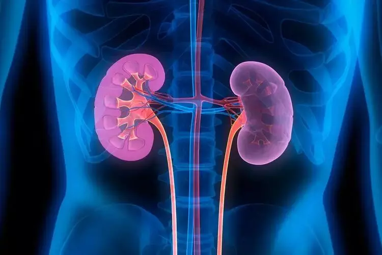 Health: రాత్రిపూట మాత్రమే కనిపించే ఈ 5 లక్షణాలు దేనికి సంకేతమంటే..? Health: రాత్రిపూట మాత్రమే కనిపించే ఈ 5 లక్షణాలు దేనికి సంకేతమంటే..?