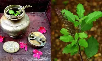 Tulsi Leaves: చనిపోయిన వారి నోటిలో గంగా జలం-తులసి ఆకులు ఎందుకు వేస్తారు?