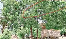 మృత్యుపాశాలవుతోన్న కరెంటు తీగెలు