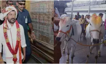 తెలంగాణలో గోసంరక్షణకు కీలక ముందడుగు - నాలుగు ప్రాంతాల్లో ఆధునిక గోశాలల నిర్మాణం తెలంగాణలో గోసంరక్షణకు కీలక ముందడుగు - నాలుగు ప్రాంతాల్లో ఆధునిక గోశాలల నిర్మాణం