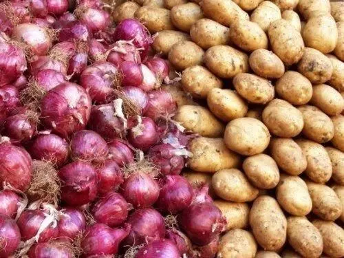Potatoes with Onions: బంగాళాదుంపలు -ఉల్లిపాయలను ఒకే దగ్గర పెడితే ఏమవుతుంది..? Potatoes with Onions: బంగాళాదుంపలు -ఉల్లిపాయలను ఒకే దగ్గర పెడితే ఏమవుతుంది..?