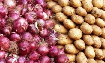 Potatoes with Onions: బంగాళాదుంపలు -ఉల్లిపాయలను ఒకే దగ్గర పెడితే ఏమవుతుంది..? Potatoes with Onions: బంగాళాదుంపలు -ఉల్లిపాయలను ఒకే దగ్గర పెడితే ఏమవుతుంది..?