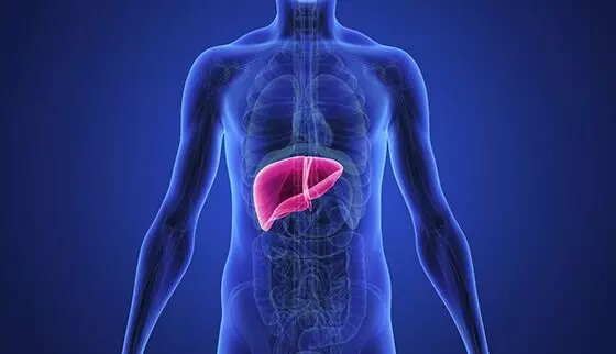 Liver Damage Habits: మందు మాత్రమే కాదు..కాలేయాన్ని దెబ్బతీసే అలవాట్లు ఇవే.. Liver Damage Habits: మందు మాత్రమే కాదు..కాలేయాన్ని దెబ్బతీసే అలవాట్లు ఇవే..