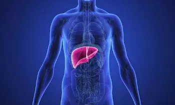 Liver Damage Habits: మందు మాత్రమే కాదు..కాలేయాన్ని దెబ్బతీసే అలవాట్లు ఇవే.. Liver Damage Habits: మందు మాత్రమే కాదు..కాలేయాన్ని దెబ్బతీసే అలవాట్లు ఇవే..