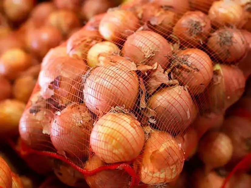 Onions: ఉల్లిపాయలను ఇలా నిల్వ చేయండి! Onions: ఉల్లిపాయలను ఇలా నిల్వ చేయండి!
