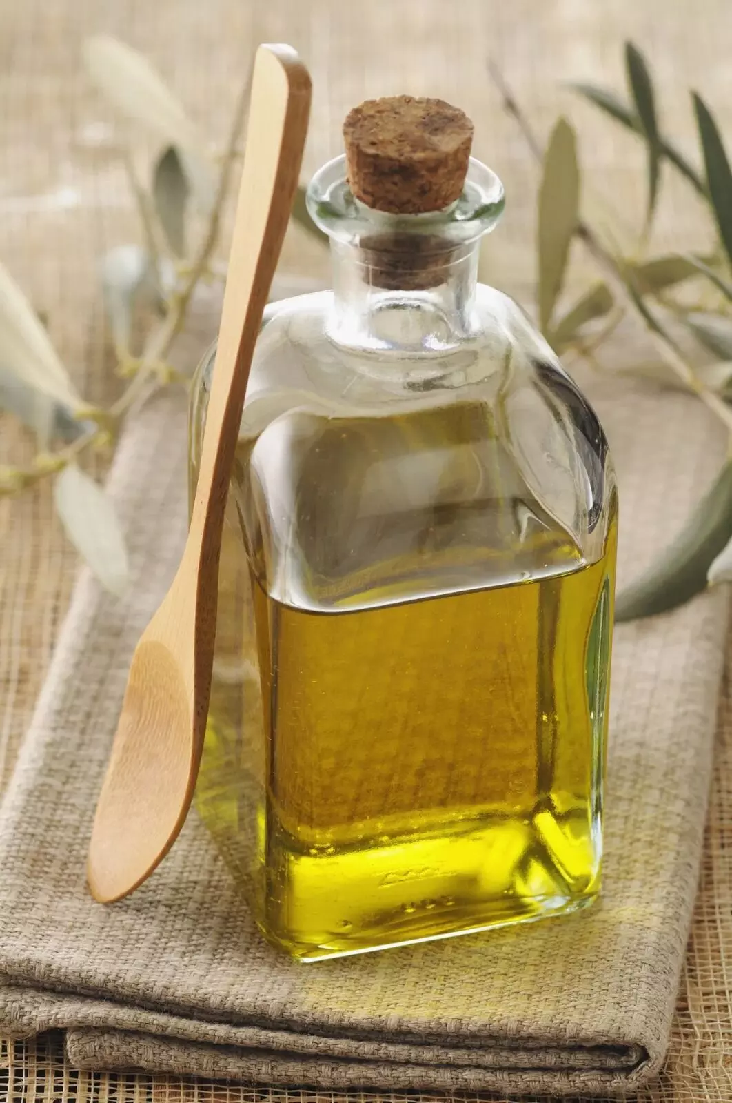 Olive Oil : ఆహారంలో ఆలివ్ నూనె ఎందుకు వాడాలి..? తెలిస్తే ఆశ్చర్యపోతారు Olive Oil : ఆహారంలో ఆలివ్ నూనె ఎందుకు వాడాలి..? తెలిస్తే ఆశ్చర్యపోతారు
