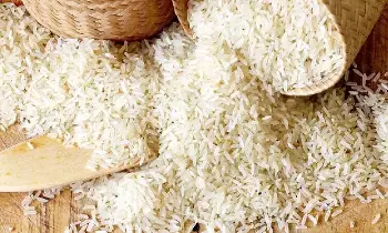 Basmati Rice : పోర్టులో ఇరుక్కుపోయిన రూ.2000కోట్ల బాస్మతి బియ్యం.. ఎందుకిలా జరిగింది