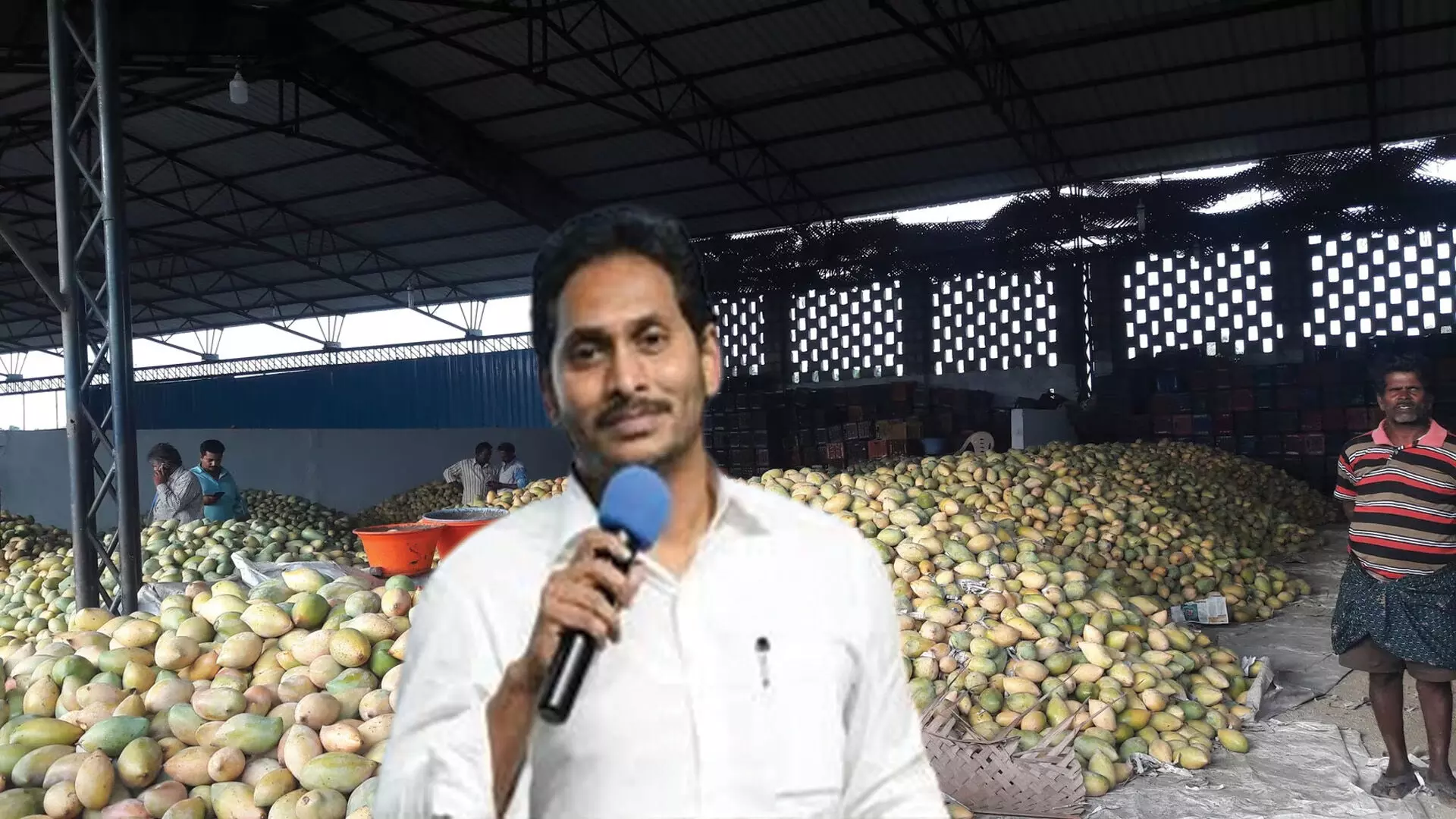 Bangarupalyam mango market : బంగారుపాళ్యెం మామిడి మార్కెట్కు వైయస్.జగన్ Bangarupalyam mango market : బంగారుపాళ్యెం మామిడి మార్కెట్కు వైయస్.జగన్