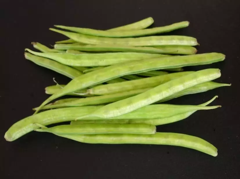Vegetable: రెయిన్ సీజన్.. ఈ కూరగాయ తినండి! Vegetable: రెయిన్ సీజన్.. ఈ కూరగాయ తినండి!