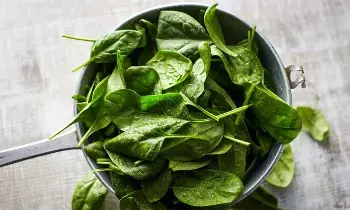 Spinach: పాలకూరతో బెల్లి ఫ్యాట్ తగ్గుతుందా..?