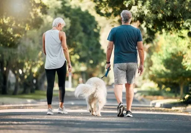 Health Risks or Benefits of Owning a Dog: కుక్కను పెంచుకుంటే ఆరోగ్యం సేఫా? అదెలా.? Health Risks or Benefits of Owning a Dog: కుక్కను పెంచుకుంటే ఆరోగ్యం సేఫా? అదెలా.?