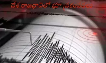 Earthquake in Delhi : రాజధాని ఢిల్లీలో భూ ప్రకంపనలు