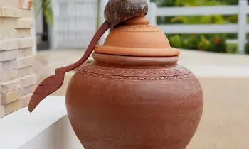Pot Water: ఫ్రిజ్ వాటర్ కంటే కుండలో వాటర్ ఎందుకు మంచివి?