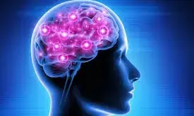 Sharper Brain: మీ మెదడు చురుకుగా పనిచేయాలంటే ఈ ఆహారాలు తినండి