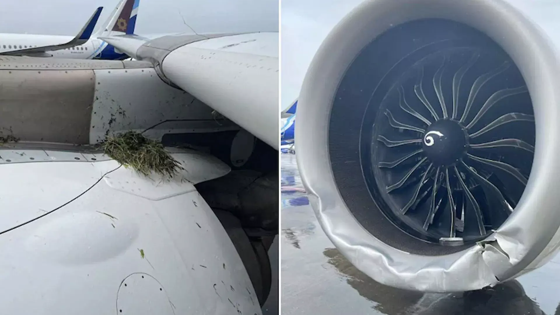 Air India Flight : రన్ వేపై ఎయిర్ ఇండియా ఫ్లైట్ కు తప్పిన ప్రమాదం Air India Flight : రన్ వేపై ఎయిర్ ఇండియా ఫ్లైట్ కు తప్పిన ప్రమాదం