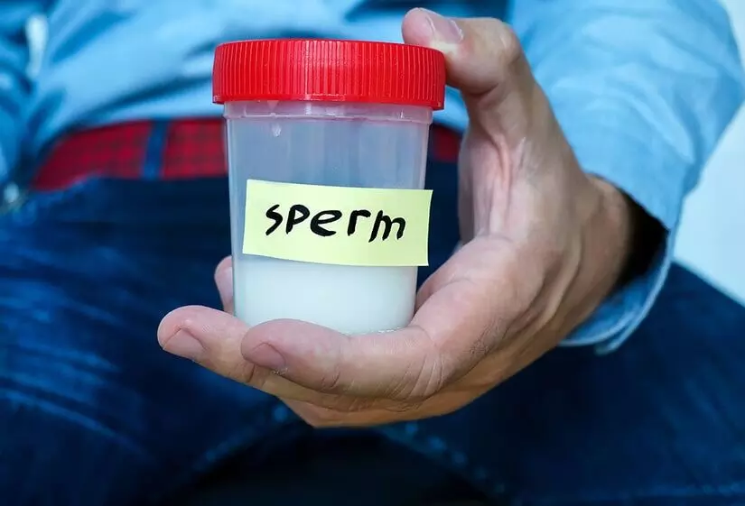 Increase Sperm Count: స్పెర్మ్ కౌంట్ త్వరగా పెరగాలంటే ఎలా? Increase Sperm Count: స్పెర్మ్ కౌంట్ త్వరగా పెరగాలంటే ఎలా?