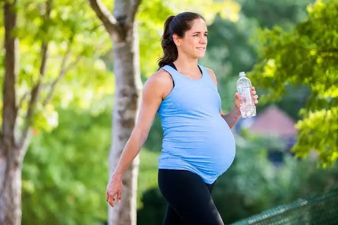 Pregnant Women: గర్భిణీ స్త్రీలు రోజుకు ఎన్ని గ్లాసుల నీళ్లు తాగాలి? Pregnant Women: గర్భిణీ స్త్రీలు రోజుకు ఎన్ని గ్లాసుల నీళ్లు తాగాలి?