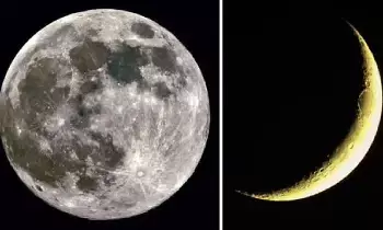 During Amavasya and Pournami: అమావాస్య - పౌర్ణమి సమయంలో మానసిక ఆందోళనకు కారణమేంటీ? During Amavasya and Pournami: అమావాస్య - పౌర్ణమి సమయంలో మానసిక ఆందోళనకు కారణమేంటీ?