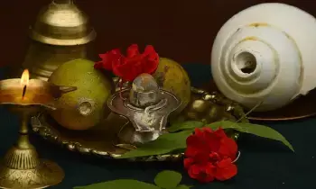 Worshipping a Shiva Lingam at Home: ఇంట్లో శివలింగాన్ని పూజిస్తన్నారా? ఈ విషయాలు తప్పక తెలుసుకోండి
