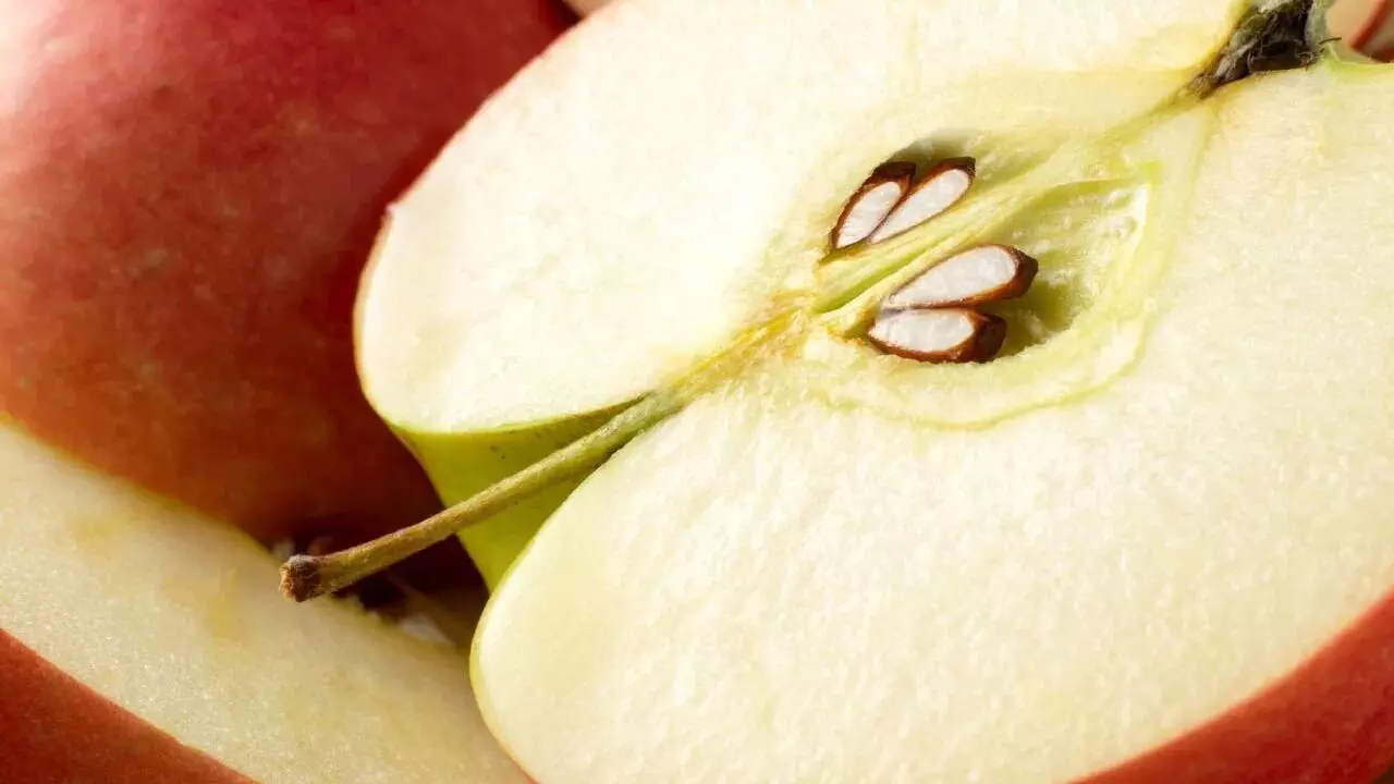 While Eating an Apple: ఆపిల్ తినేటప్పుడు ఈ పొరపాటు అస్సలు చేయొద్దు..? While Eating an Apple: ఆపిల్ తినేటప్పుడు ఈ పొరపాటు అస్సలు చేయొద్దు..?