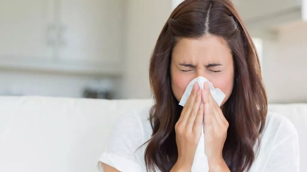 Frequent Sneezing: తుమ్ములు రావడానికి కారణాలివే..? Frequent Sneezing: తుమ్ములు రావడానికి కారణాలివే..?