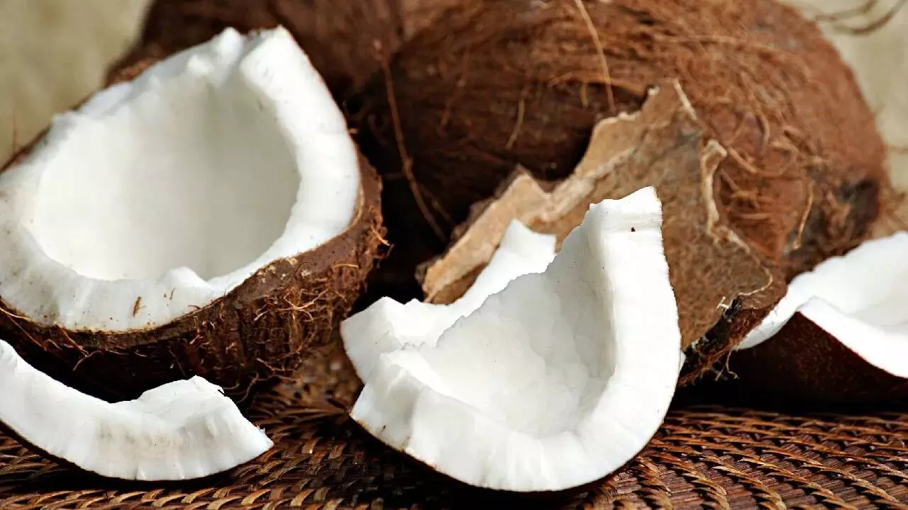 Coconut and Health: కొబ్బరి ఆరోగ్యానికి మంచిదా..? దానితో లాభాలేంటీ..? Coconut and Health: కొబ్బరి ఆరోగ్యానికి మంచిదా..? దానితో లాభాలేంటీ..?
