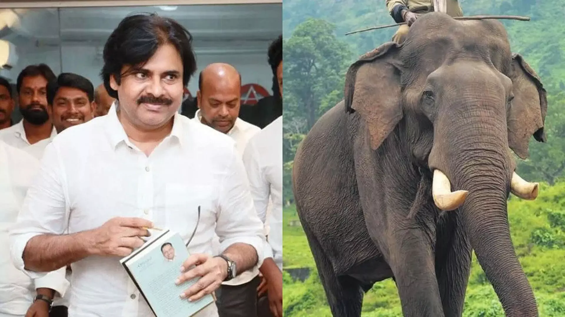 Pavan Kalyan : ఏనుగులు సంచరించే ప్రాంత ప్రజలను అప్రమత్తం చేయాలి Pavan Kalyan : ఏనుగులు సంచరించే ప్రాంత ప్రజలను అప్రమత్తం చేయాలి