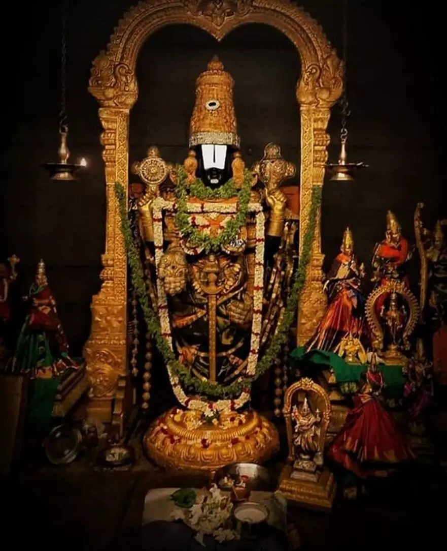 Green Camphor Used for Lord Venkateswaras Idol : తిరుమల శ్రీవారి విగ్రహానికి పచ్చ కర్పూరం ఎందుకు? Green Camphor Used for Lord Venkateswaras Idol : తిరుమల శ్రీవారి విగ్రహానికి పచ్చ కర్పూరం ఎందుకు?