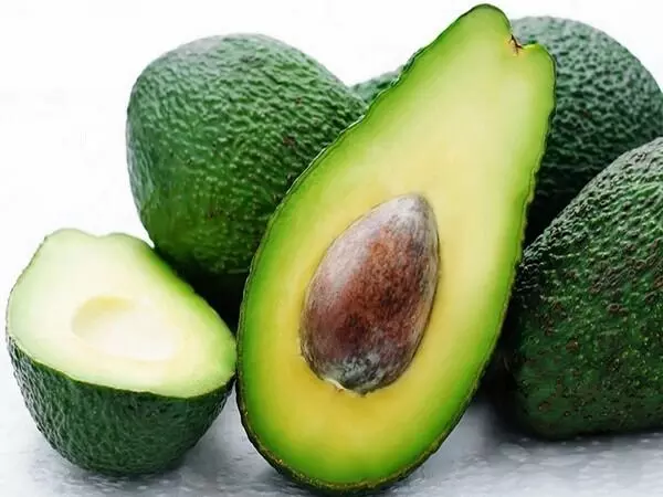 Avocado Fruit: అవకాడోతో గుండె జబ్బులకు చెక్.. ఇంకా ఎన్ని లాభాలో..? Avocado Fruit: అవకాడోతో గుండె జబ్బులకు చెక్.. ఇంకా ఎన్ని లాభాలో..?