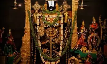 Green Camphor Used for Lord Venkateswaras Idol : తిరుమల శ్రీవారి విగ్రహానికి పచ్చ కర్పూరం ఎందుకు? Green Camphor Used for Lord Venkateswaras Idol : తిరుమల శ్రీవారి విగ్రహానికి పచ్చ కర్పూరం ఎందుకు?