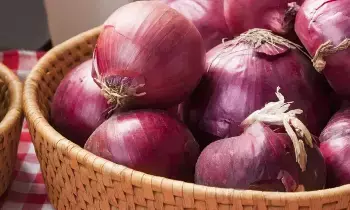 Keep Onions Fresh Longer: ఉల్లిపాయలు త్వరగా పాడవుతున్నాయా..? ఈ చిట్కాలు పాటించండి.. Keep Onions Fresh Longer: ఉల్లిపాయలు త్వరగా పాడవుతున్నాయా..? ఈ చిట్కాలు పాటించండి..