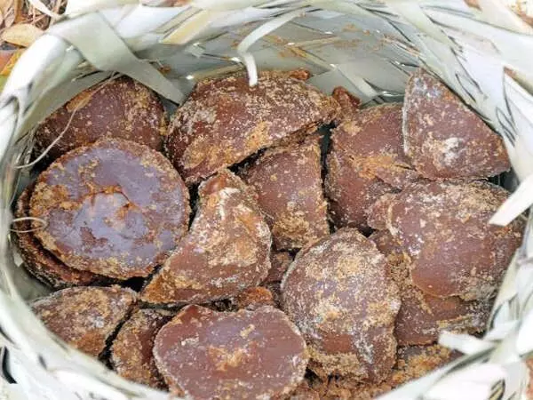 Palm Jaggery Is a Powerhouse: తాటి బెల్లాన్ని లైట్ తీసుకోకండి.. బెనిఫిట్స్ తెలిస్తే అసలు వదలరు.. Palm Jaggery Is a Powerhouse: తాటి బెల్లాన్ని లైట్ తీసుకోకండి.. బెనిఫిట్స్ తెలిస్తే అసలు వదలరు..
