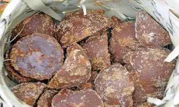 Palm Jaggery Is a Powerhouse: తాటి బెల్లాన్ని లైట్ తీసుకోకండి.. బెనిఫిట్స్ తెలిస్తే అసలు వదలరు..