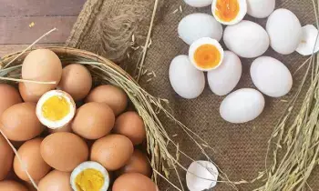 White or Brown Egg: తెల్ల లేదా గోధుమ..  ఏ గుడ్డు ఆరోగ్యానికి మంచిది