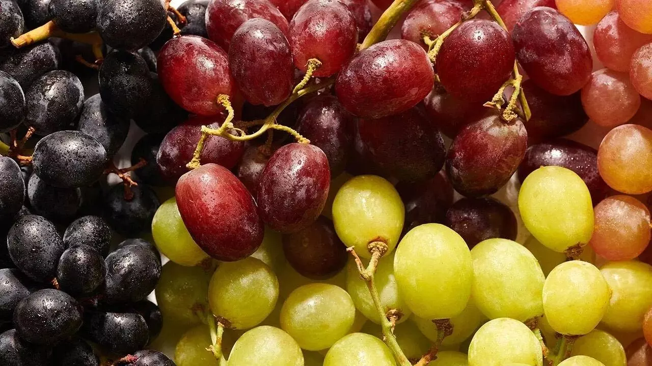 Benefits of Grapes: ద్రాక్షతో ఇన్ని ఆరోగ్య లాభాలా..? తెలుసుకుంటే అవాక్కే.. Benefits of Grapes: ద్రాక్షతో ఇన్ని ఆరోగ్య లాభాలా..? తెలుసుకుంటే అవాక్కే..
