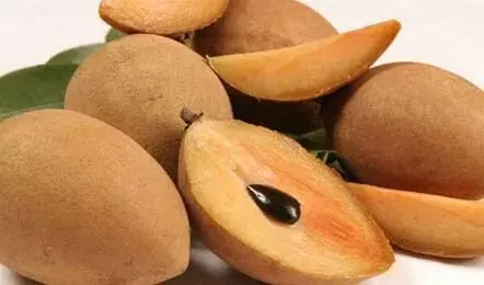Stronger Bones with Sapota Fruit: ఎముకలు బలంగా మారాలా..? ఈ పండు తింటే ఎన్నో లాభాలు Stronger Bones with Sapota Fruit: ఎముకలు బలంగా మారాలా..? ఈ పండు తింటే ఎన్నో లాభాలు