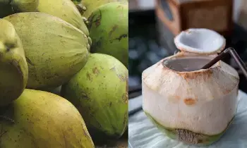 Drinking Coconut Water: ఈ 6 ఆరోగ్య సమస్యలు ఉన్నవారు కొబ్బరి నీరు తాగకూడదు..!