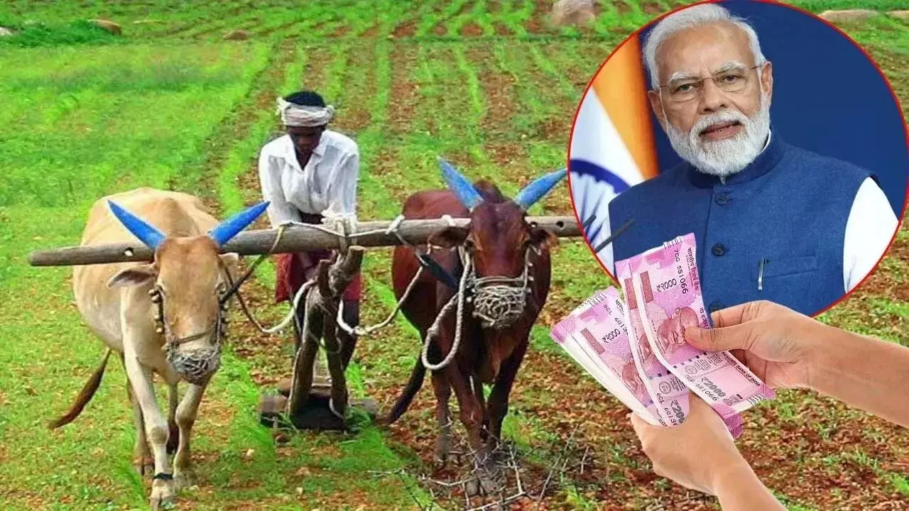 PM Modi : రైతులుకు మోడీ బంపర్ గిఫ్ట్.. రూ.2481కోట్లతో మారనున్న భవితవ్యం PM Modi : రైతులుకు మోడీ బంపర్ గిఫ్ట్.. రూ.2481కోట్లతో మారనున్న భవితవ్యం