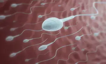 Sperm Count: వీర్య కణాలు త్వరగా పెరగాలంటే ఏం చేయాలి? 