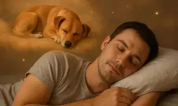 Dog Appearing in a Dream: కలలో కుక్క కనిపిస్తే దాని అర్థం ఏమిటి? శుభమా..? అశుభమా? Dog Appearing in a Dream: కలలో కుక్క కనిపిస్తే దాని అర్థం ఏమిటి? శుభమా..? అశుభమా?