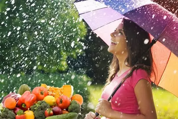 Rainy Season: వర్షాకాలంలో ఆరోగ్యాన్ని ఎలా కాపాడుకోవాలి అంటే? Rainy Season: వర్షాకాలంలో ఆరోగ్యాన్ని ఎలా కాపాడుకోవాలి అంటే?