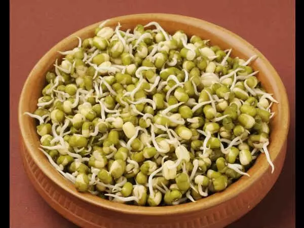 Sprouted Seeds: కొత్తగా పెళ్లైన వారికి మొలకెత్తిన గింజలతో అద్భుత ప్రయోజనాలు Sprouted Seeds: కొత్తగా పెళ్లైన వారికి మొలకెత్తిన గింజలతో అద్భుత ప్రయోజనాలు