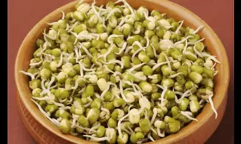 Sprouted Seeds: కొత్తగా పెళ్లైన వారికి మొలకెత్తిన గింజలతో అద్భుత ప్రయోజనాలు