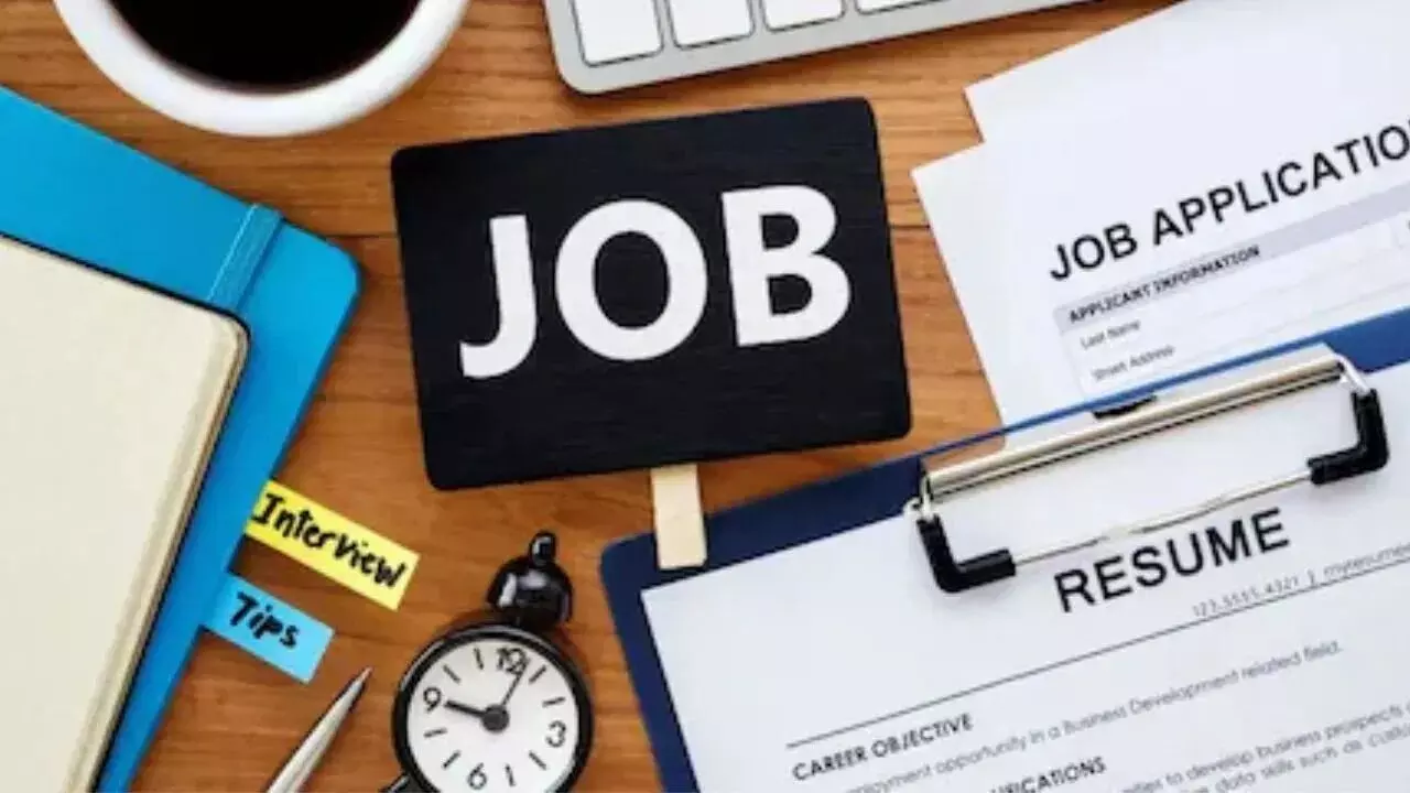 Jobs : ఇక నో జాబ్ టెన్షన్.. 2030 నాటికి ఈ రంగంలో 2.5లక్షల ఉద్యోగాలు Jobs : ఇక నో జాబ్ టెన్షన్.. 2030 నాటికి ఈ రంగంలో 2.5లక్షల ఉద్యోగాలు