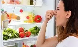 Fridge Smelling Bad: ఫ్రిజ్‌లో దుర్వాసన వస్తుందా..? టీ ఆకులతో ఇలా చేస్తే..