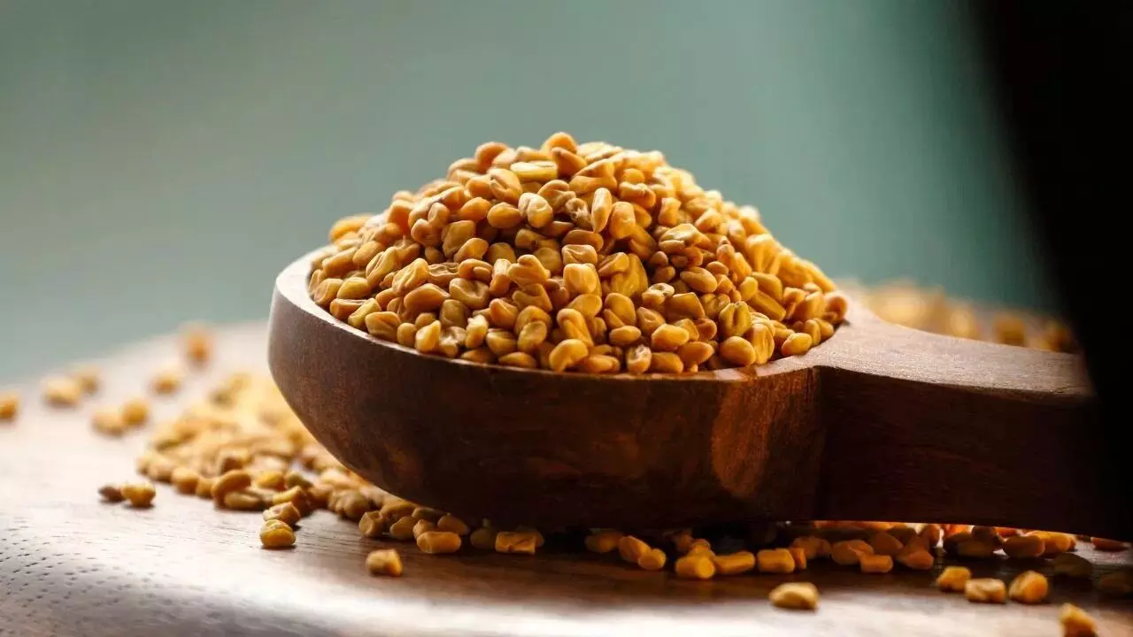 Fenugreek: మెంతులతో మధుమేహానికి చెక్.. ఇలా వాడితే.. Fenugreek: మెంతులతో మధుమేహానికి చెక్.. ఇలా వాడితే..